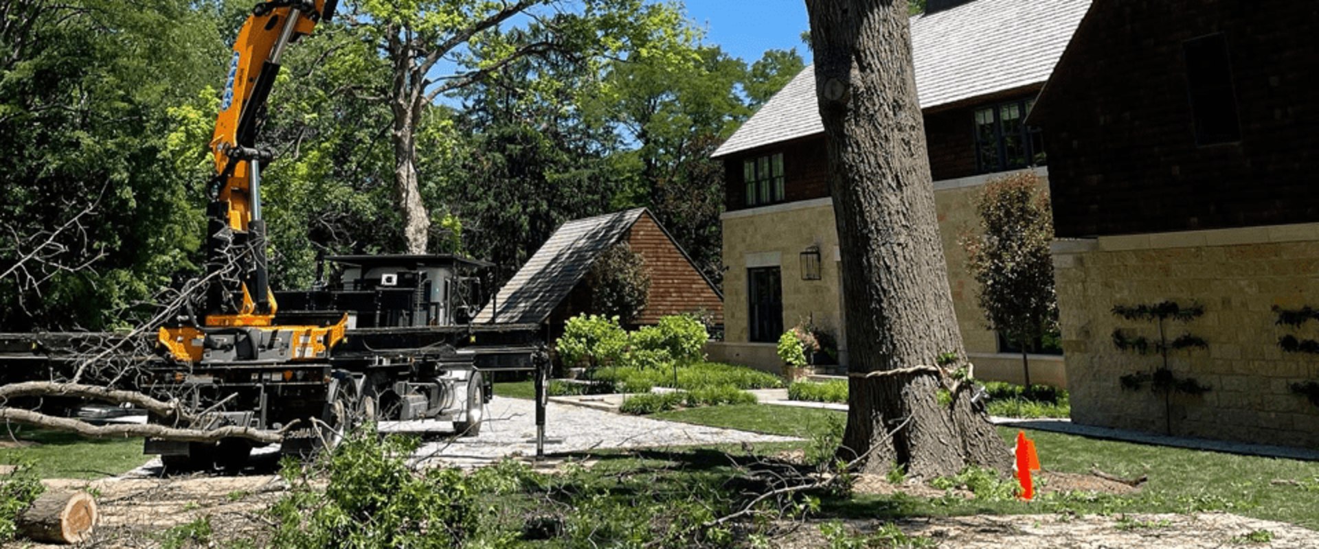 Finding Reliable Tree Removal Experts in Indianapolis