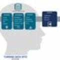 Harnessing User Feedback for Smarter Decision-Making in Local Services
