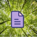 Crafting Meaningful Reviews for Local Service Providers