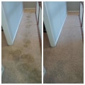 Discovering Reliable Carpet Cleaning Services in Indianapolis
