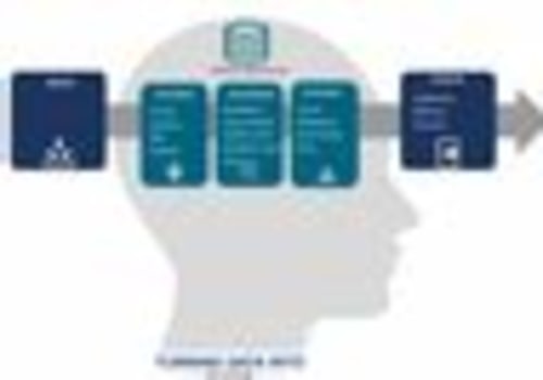 Harnessing User Feedback for Smarter Decision-Making in Local Services